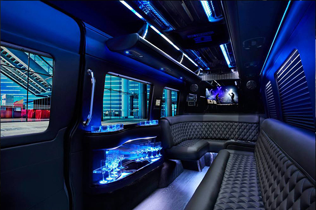 12 Passenger Mercedes Sprinter Limo