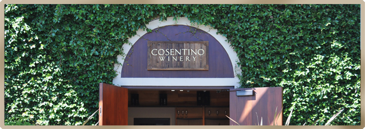 Cosetino-napa-winery