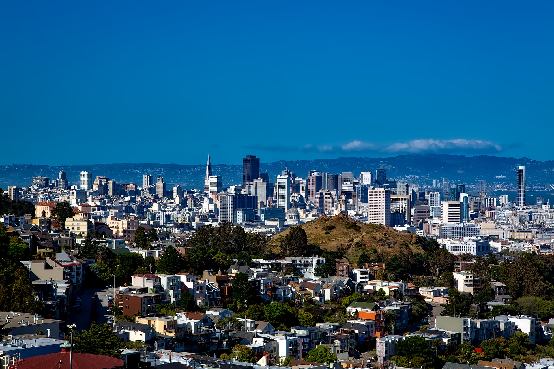 san-francisco-business-convention-survival-guide